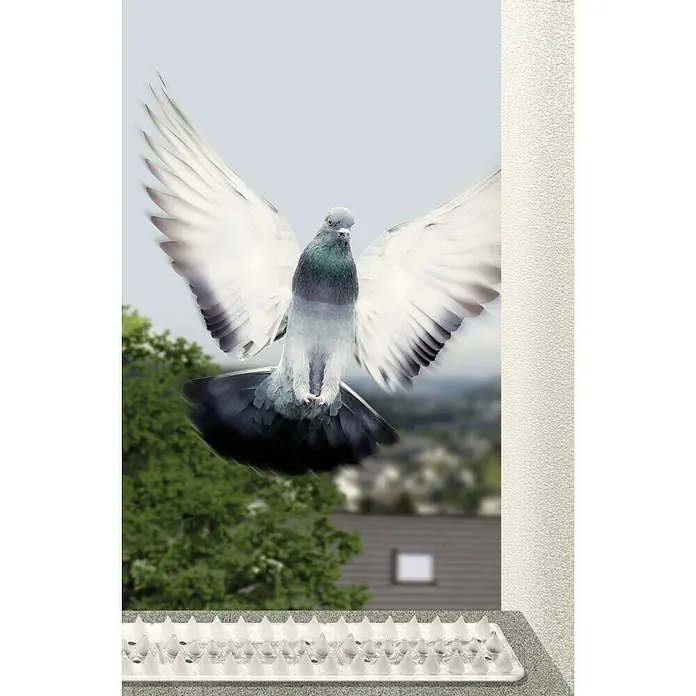 Schellenberg Sistema antipalomas Standard - L x An x Al: 49 x 4,3 x 2 cm - Las púas disuasorias para palomas evitan que una paloma aterrice en el techo.