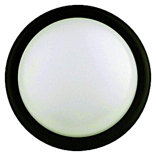 Polaroid LED-Außenwandleuchte (Schwarz, Ø x H: 19,7 x 9,5 cm)