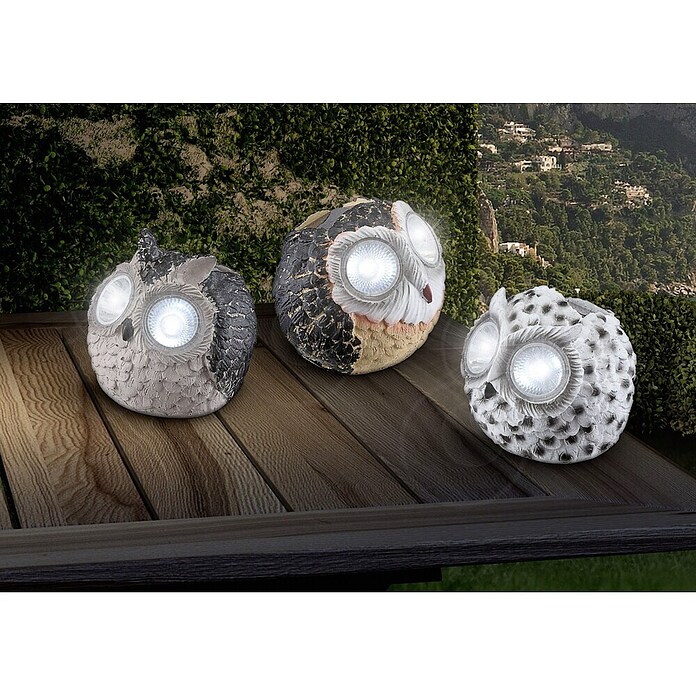 Globo Solarleuchte Eule (Bunt, Höhe: 10 cm, LED)