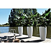 Elho Okrugla tegla za biljke Pure Soft High  (Vanjska dimenzija (ø x V): 39 x 70,1 cm, Bijele boje, Plastika) | BAUHAUS