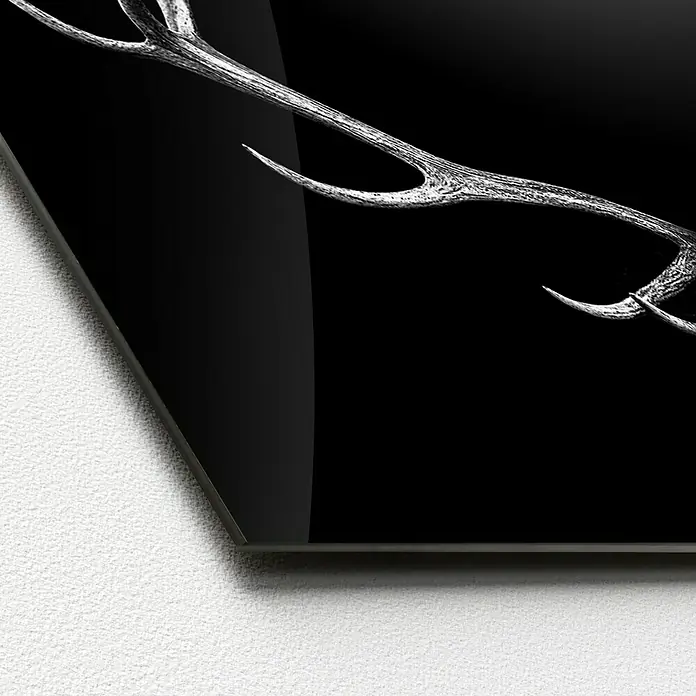 ProArt Glasbild - Deer Antler, B x H: 125 x 50 cm - Nahaufnahme eines stilvollen Wandbildes mit einem Hirschgeweih-Motiv, das jedem Raum Eleganz verleiht.