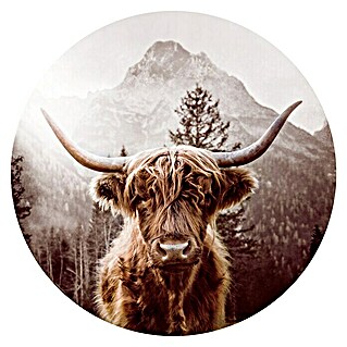 ProArt Glasbild (Scottish Highland Cattle, Durchmesser: 50 cm)