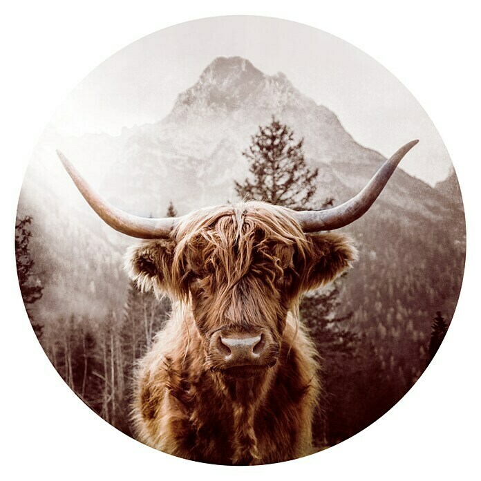 ProArt GlasbildScottish Highland Cattle Front View