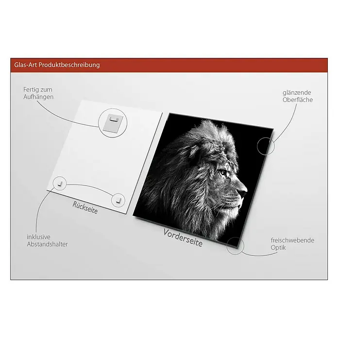 ProArt Glasbild - Grey Lion Head, B x H: 30 x 30 cm - Produktbeschreibung für Glasbilder mit Löwenmotiv, inklusive Aufhänger, Abstandshalter und glänzender Oberfläche für eine freischwebende Optik.