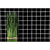 Mosaikfliese Quadrat Uni CD 192 (29,8 x 29,8 cm, Schwarz, Matt) | BAUHAUS