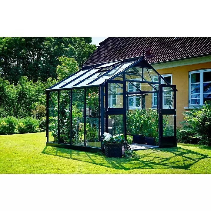Juliana Gewächshaus Premium - Außenmaß inkl. Dachüberstand (B x T): 296 x 296 cm, Material Seitenwand: Glas, 3 mm, Anthrazit/Schwarz - Ein Gewächshaus mit schwarzem Rahmen steht in einem sonnigen Garten neben einem gelben Haus, gefüllt mit Pflanzen.