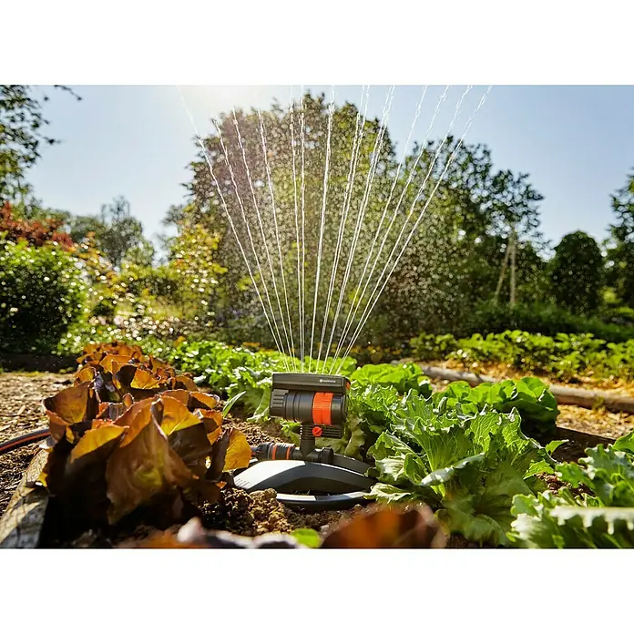 Gardena Viereckregner Aquazoom compact - Max. Regnerfläche: 9 m² - 216 m² - Gardena Vielflächenregner im Einsatz, der Salat und andere Feldfrüchte bewässert. Das Bewässerungsgerät ist schwarz-orange und sprüht Wasser.