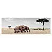 Impresión artística Familia (Elefantes, 135 x 45 cm)