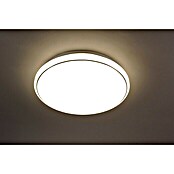 Paul Neuhaus LED-Deckenleuchte rund (80 W, Weiß, Ø x H: 80 x 11,5 cm)