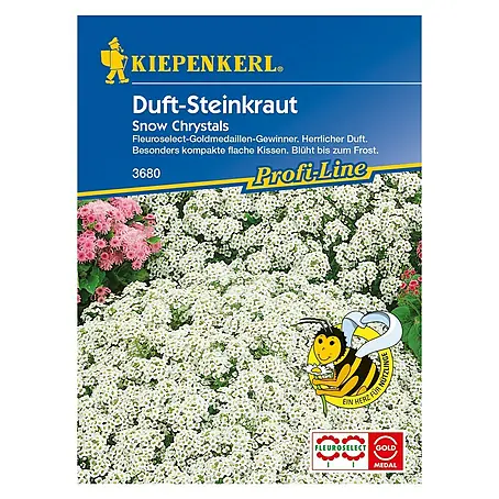 Kiepenkerl Profi-Line Blumensamen Steinkraut Snow Crystals