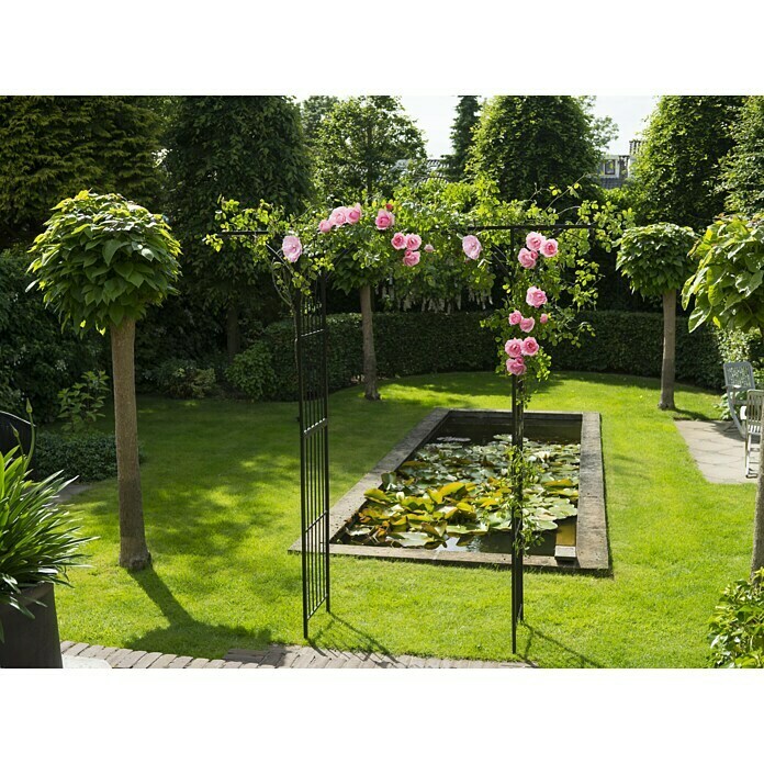 Nature Rosenbogen (114 x 66 x 232 cm, Schwarz)