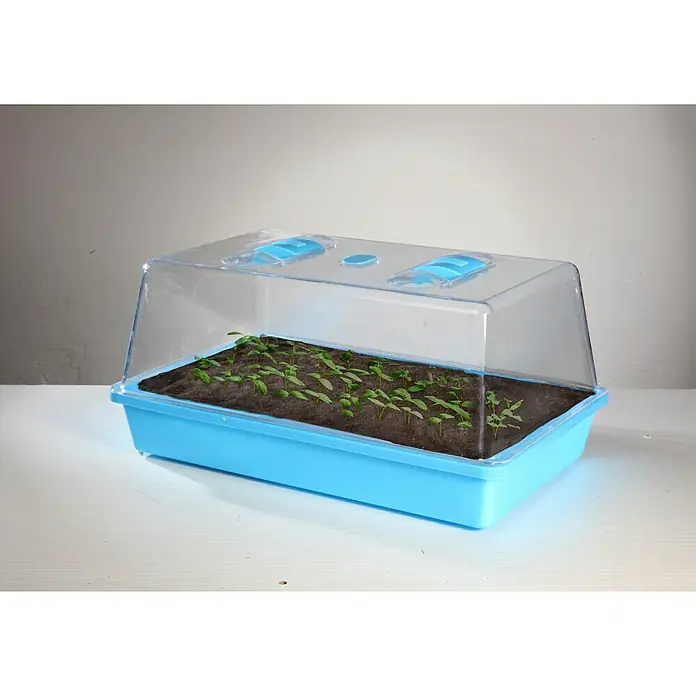 Floraworld Zimmergewächshaus Classic - 38 x 24 x 12,5 cm, Hellblau - Ein blauer Mini-Gewächshaus-Bausatz mit transparenter Abdeckung, ideal für die Anzucht von Sämlingen und den Schutz junger Pflanzen vor Kälte.