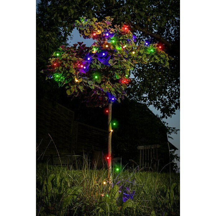  Guirlande lumineuse globe LED 