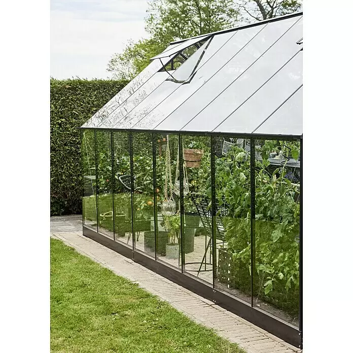 Halls Gewächshaus Qube 816 - Außenmaß inkl. Dachüberstand (B x T): 261 x 508 cm, 3 mm, Schwarz - Ein modernes Gewächshaus mit Glaspaneelen und schwarzem Rahmen steht in einem Garten. Verschiedene Pflanzen, darunter Tomaten und Zitrusfrüchte, wachsen darin, ein Dachfenster ist offen.