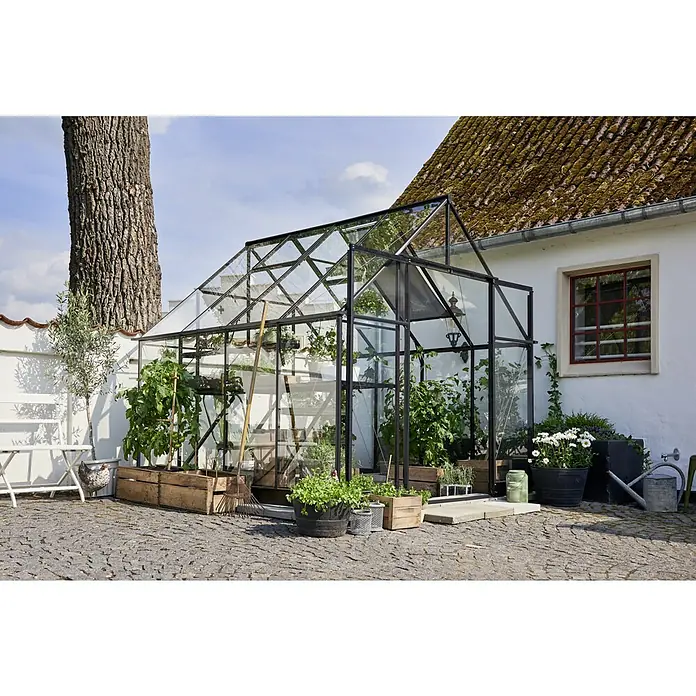 Halls Gewächshaus Qube 88 - Außenmaß inkl. Dachüberstand (B x T): 261 x 261 cm, 3 mm, Schwarz - Ein Gewächshaus mit Stahlrahmen und Glasfront, umgeben von Pflanzen und Töpfen, vor einem Haus mit Ziegeldach.