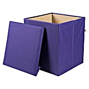 Phönix Sitz- & Aufbewahrungsbox (L x B x H: 41 x 41 x 44 cm, Polyester, Violett)