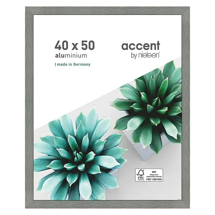 Alurahmen Star - 40 x 50 cm, Grau - Grauer 40x50 Aluminium Bilderrahmen "accent by nielsen" mit zwei Sukkulenten im Hintergrund.