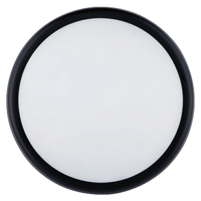 Luceco Aplique exterior LED Mini Circular (1 luz, 5,5 W, Color de luz: Blanco neutro, IP54)