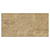 Feinsteinzeugfliese Regent Gold (30 x 60 cm, Beige, Unglasiert)