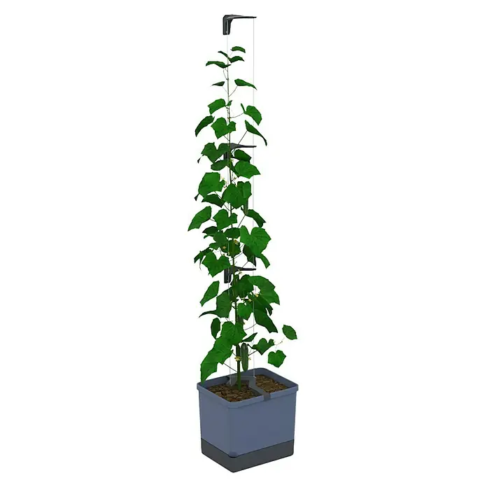 Gusta Garden Pflanzkasten Curt Cucumber - Außenmaß (L x B x H): 34,7 x 28,1 x 13,8 cm, Kunststoff, Blau, Rankhilfe - Der elegante Pflanzkasten mit Rankhilfe ist die perfekte Lösung für den Anbau von Kletterpflanzen auf kleinem Raum. Ideal für Balkon und Terrasse.