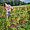 Gusta Garden Rankhilfe Berry Buddy Erweiterung (34,5 x 138,5 cm, Holz, Gelb) | BAUHAUS