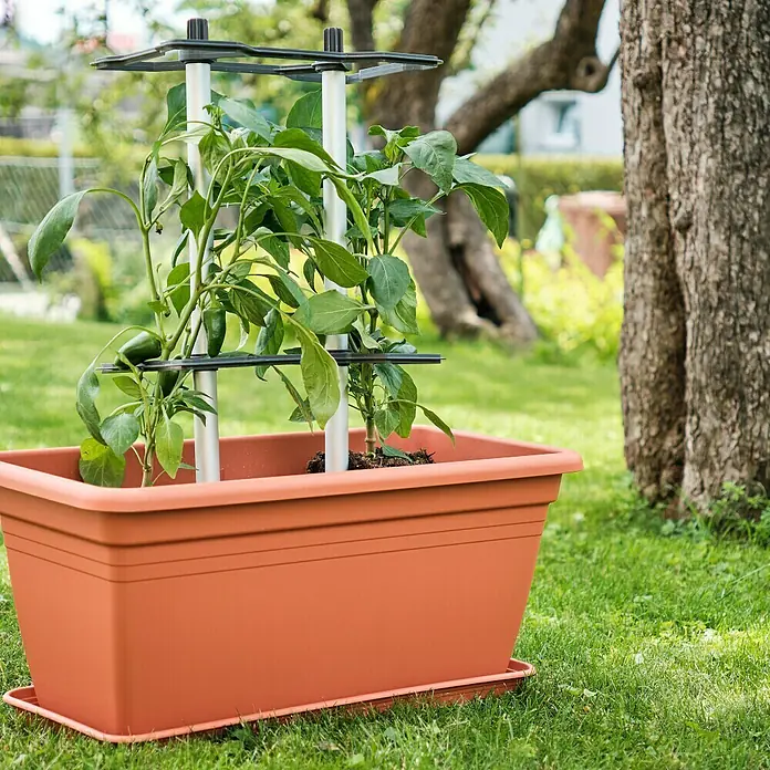 Gusta Garden Rankhilfe Chili Buddy - 6,6 x 22,2 cm, Kunststoff, Schwarz, 1 Stk. - Ein rechteckiger Pflanzkasten mit einer Kletterhilfe für Paprika- oder Gemüsepflanzen im Garten. Der Pflanzkasten ist aus Kunststoff und terracottafarben.