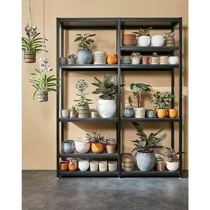 Mica Decorations Pflanzkorb Atlantic - Außenmaß (Ø x H): 14 x 14 cm, Naturmaterialien, Creme - Ein Regal voller Pflanzen in verschiedenen Töpfen, das eine gemütliche und natürliche Atmosphäre schafft.