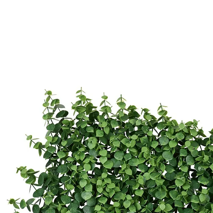 Faura Jardín vertical Irolia - Plástico, L x An: 50 x 50 cm - Imagen de un fondo artificial de eucalipto, ideal para decoraciones. Las exuberantes hojas verdes dan un toque natural.