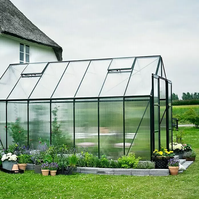 Halls Gewächshaus Magnum 148 - Außenmaß inkl. Dachüberstand (B x T): 257 x 446 cm, Material Seitenwand: Kunststoff, 6 mm, Grün - Vorderansicht