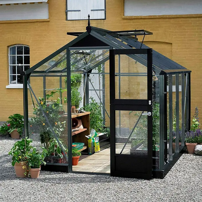 Juliana Gewächshaus Compact - Außenmaß inkl. Dachüberstand (B x T): 224 x 368 cm, Material Seitenwand: Glas, 3 mm, Anthrazit/Schwarz - Ein Gewächshaus aus Glas und Metall steht vor einer gelben Backsteinmauer und beherbergt eine Vielzahl von Pflanzen.