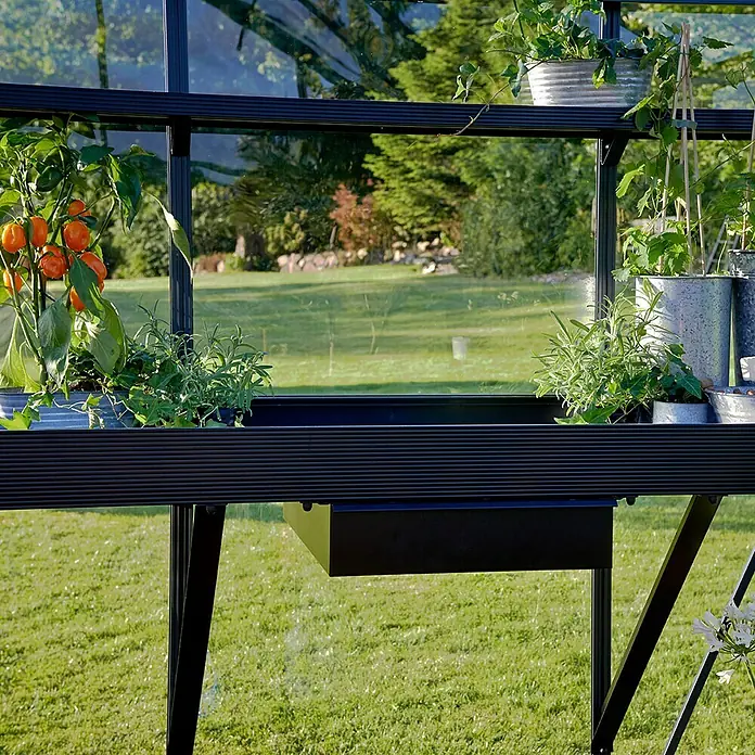 Juliana Gewächshaus-Tisch - 52 x 141 x 10 cm - Nahaufnahme eines schwarzen Gewächshaustisches mit Pflanzen in Töpfen, der eine stilvolle und funktionale Gartengestaltung zeigt.