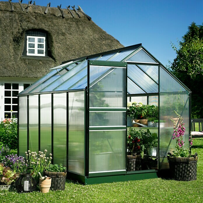 Halls Gewächshaus Popular 106 (3,19 x 1,93 x 1,95 m, Polycarbonat, Glasstärke: 4 mm, Grün)