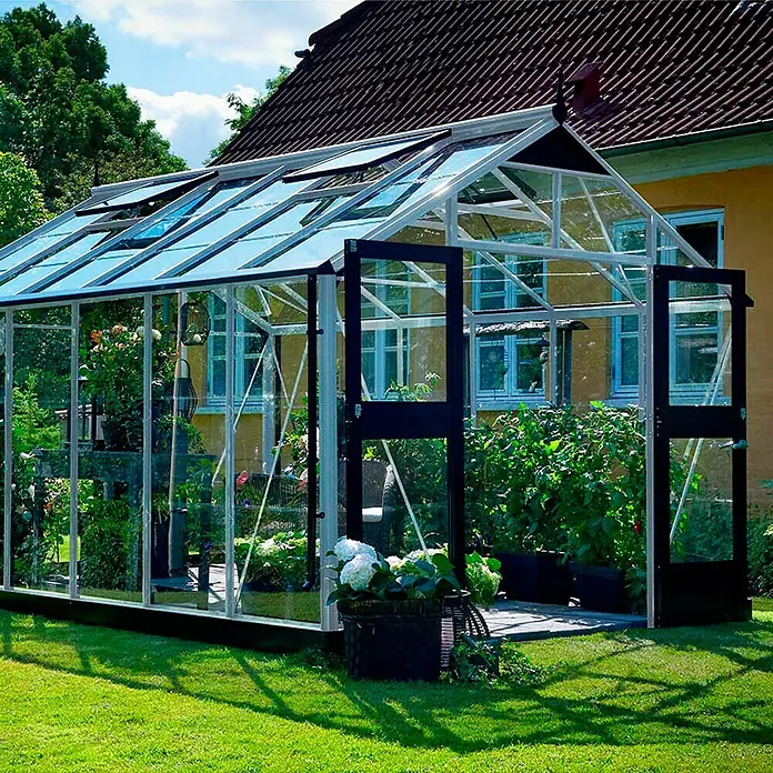 Juliana Gewächshaus Premium - Außenmaß inkl. Dachüberstand (B x T): 296 x 439 cm, Material Seitenwand: Glas, 3 mm, Silber/Schwarz - Nahaufnahme eines Gewächshauses mit geöffneten Fenstern, das Pflanzen beherbergt, vor einem Haus mit rotem Dach.