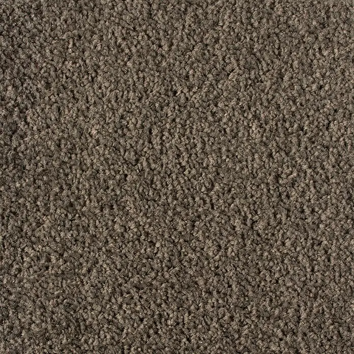 Teppichboden Meterware Linda - Breite: 400 cm, Velours, 100 % Polypropylen, Schlamm - Nahaufnahme eines Teppichs in Braun. Ein stilvoller und strapazierfähiger Teppichboden für jeden Raum, der Komfort und Wärme ausstrahlt.