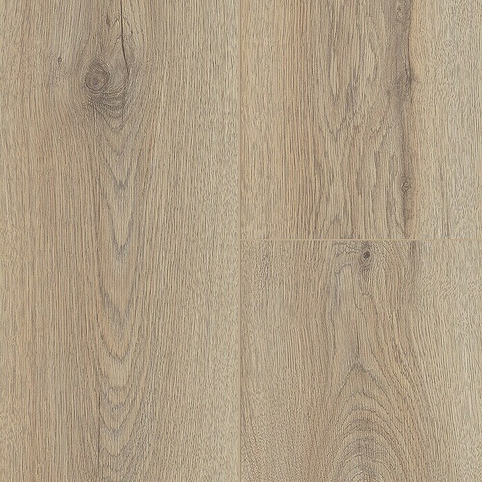LOGOCLIC Edition Laminaat (Planken, 1.288 x 195 x 8 mm) | BAUHAUS