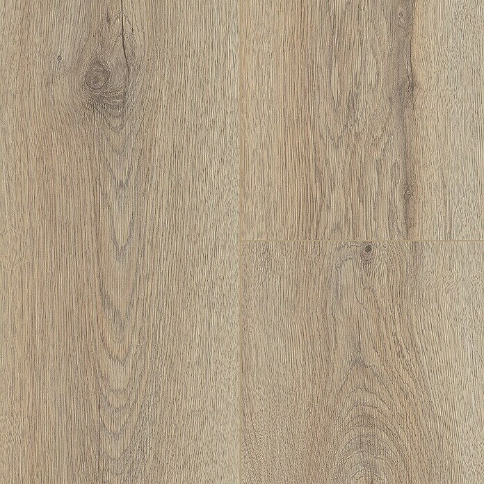 Krono Original Laminat Organic Clever Silent Ashland Oak (1.288 x 195 x 7 mm, Landhausdiele, Ashland Oak) | BAUHAUS