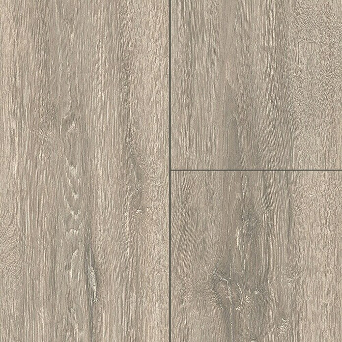 Krono Original Laminat Super Natural Boulder Oak (1.288 x 195 x 8 mm, Landhausdiele, Boulder Oak) | BAUHAUS