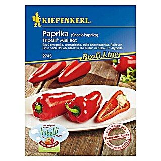 Kiepenkerl Profi-Line Gemüsesamen Paprika Tribelli Mini (Capsicum annuum, Erntezeit: Juli)