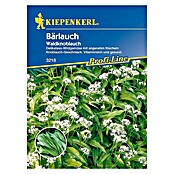 Kiepenkerl Profi-Line Bärlauch (Inhalt ausreichend für ca.: 35 Pflanzen)