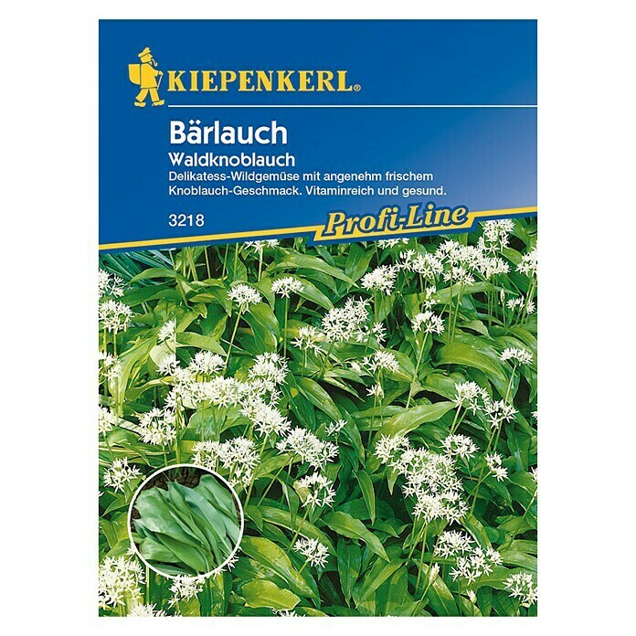 Kiepenkerl Profi-Line Kräutersamen BärlauchAllium ursinium, Saatzeit: Januar - März, Erntezeit: Ganzjährig Front View