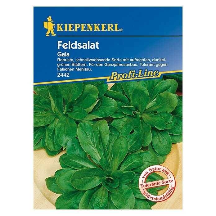 Kiepenkerl Profi-Line Salatsamen Feldsalat GalaValerianella locusta, Erntezeit: Ganzjährig Front View