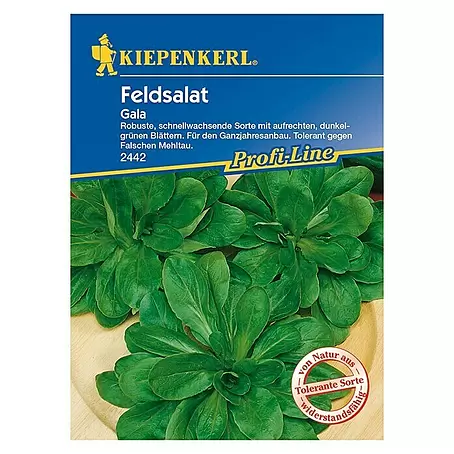 Kiepenkerl Profi-Line Salatsamen Feldsalat Gala