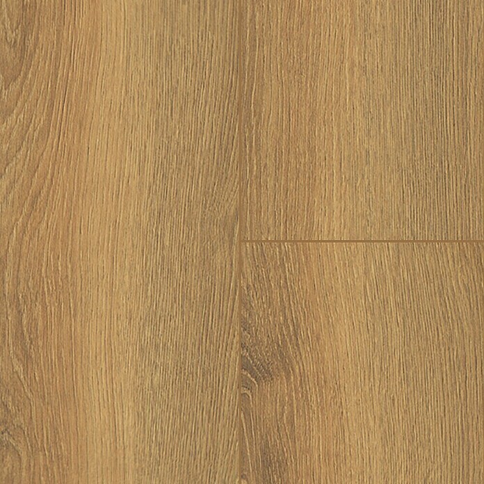 Krono Original Laminatmuster Atlantic 8 Sienna Montreux Oak (297 x 195 x 8 mm, Landhausdiele, Sienna Montreux Oak) | BAUHAUS