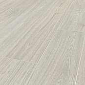 Krono Original Laminatmuster Atlantic 8 Cotton Greenvale Oak (297 x 195 x 8 mm, Landhausdiele, Cotton Greenvale Oak) | BAUHAUS