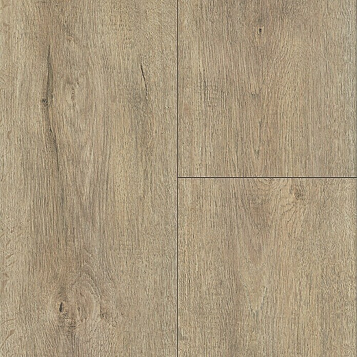 Krono Original Laminatmuster Atlantic 8 Mushroom Apollo Oak (297 x 195 x 8 mm, Landhausdiele, Mushroom Apollo Oak) | BAUHAUS