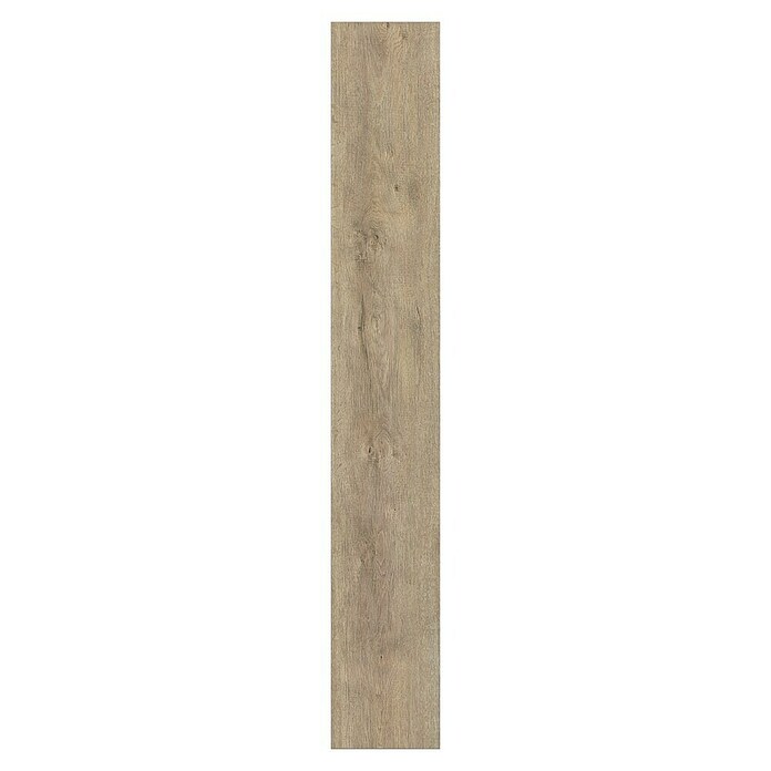 Krono Original Laminat Atlantic 8 Mushroom Apollo Oak (1.288 x 195 x 8 mm, Landhausdiele, Mushroom Apollo Oak) | BAUHAUS