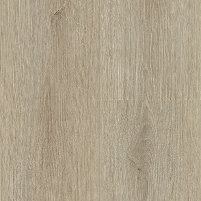 Krono Original Laminat Atlantic 8 Ecru Cantal Oak (1.288 x 195 x 8 mm, Landhausdiele, Ecru Cantal Oak) | BAUHAUS