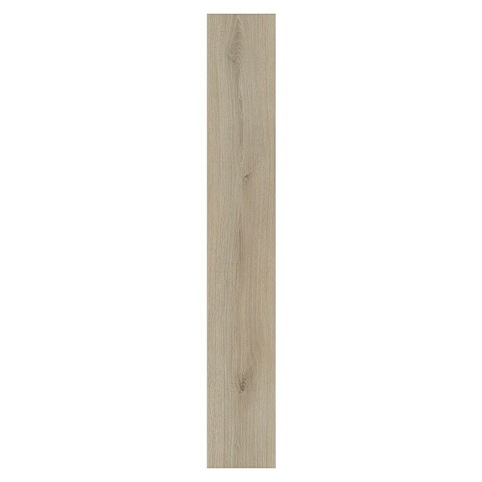 Krono Original Laminatmuster Atlantic 8 Ecru Cantal Oak (297 x 195 x 8 mm, Landhausdiele, Ecru Cantal Oak) | BAUHAUS