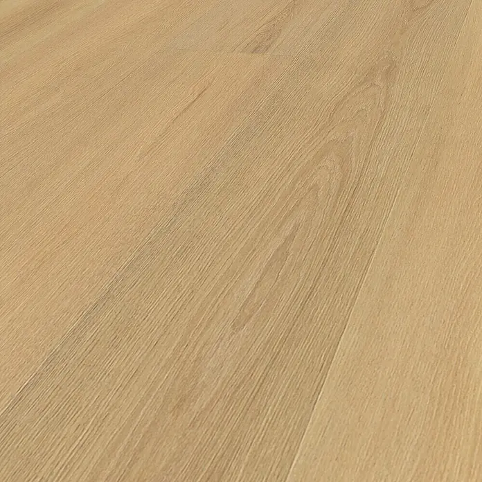 Krono Original Laminat Altitude - Honey Montreux Oak, Landhausdiele, 2.003 x 245 x 12 mm - Nahaufnahme von hellem Laminatboden mit Holzmaserung. Die Oberfläche ist glatt und reflektiert das Licht leicht.