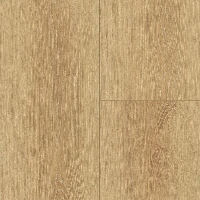 Krono Original Laminat Altitude Honey Montreux Oak (2.003 x 245 x 12 mm, Landhausdiele, Honey Montreux Oak) | BAUHAUS